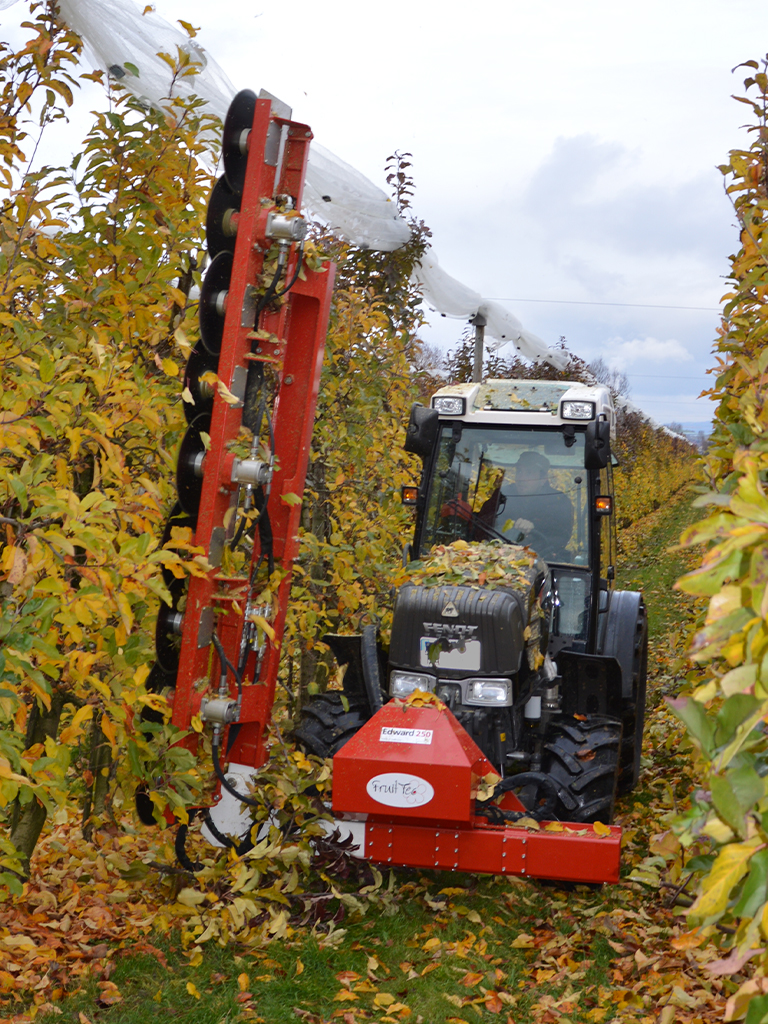 Rotierendes Schneidesystem an Grundgerät FT wide beim schneiden im einer Obstplantage im Herbst