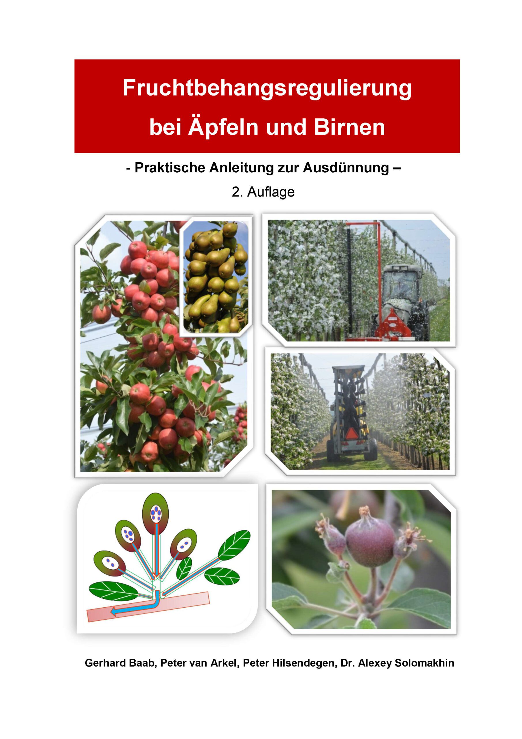Praktische Anleitung zur Ausdünnung