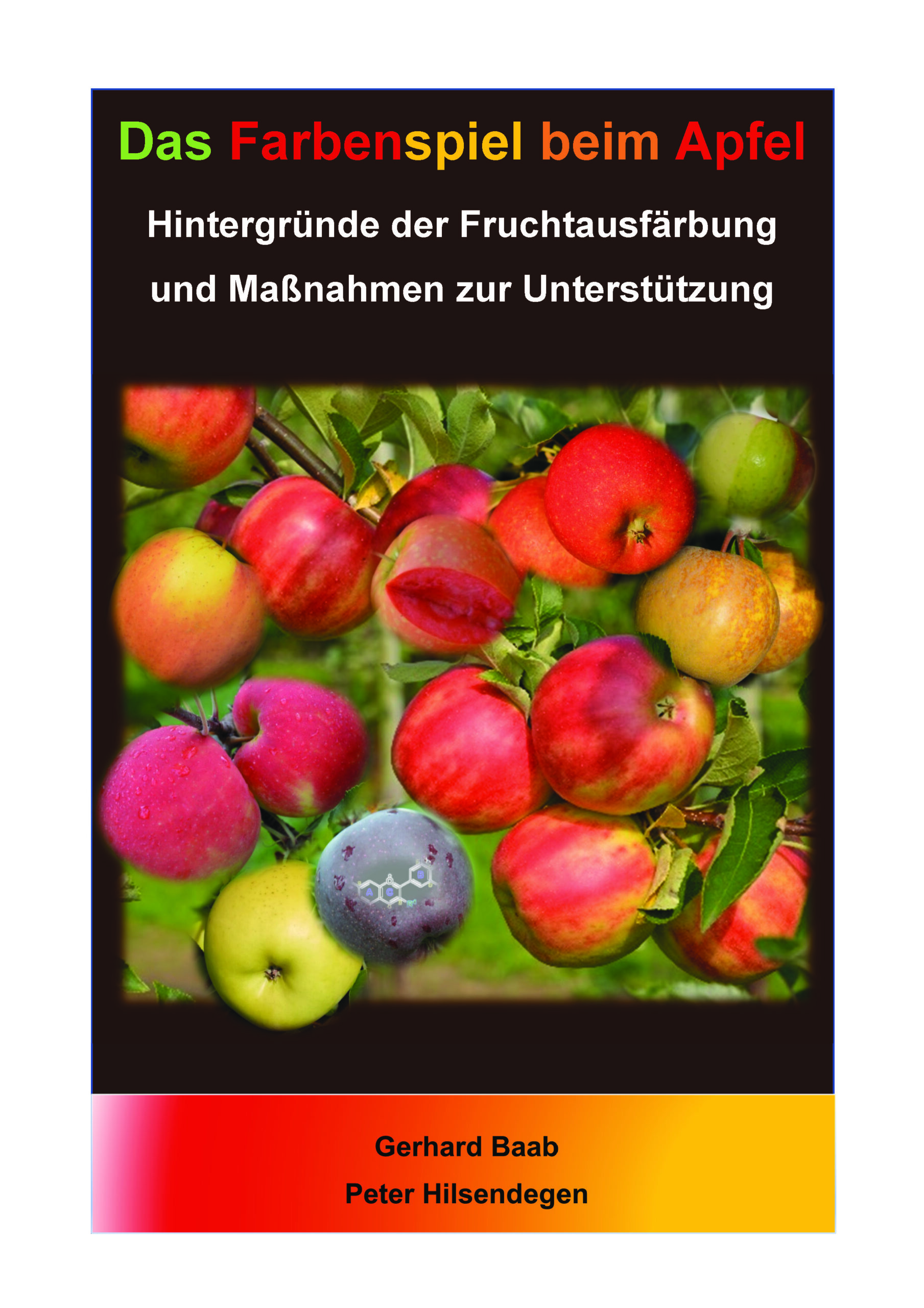 Hintergründe der Fruchtausfärbung
und Maßnahmen zur Unterstützung